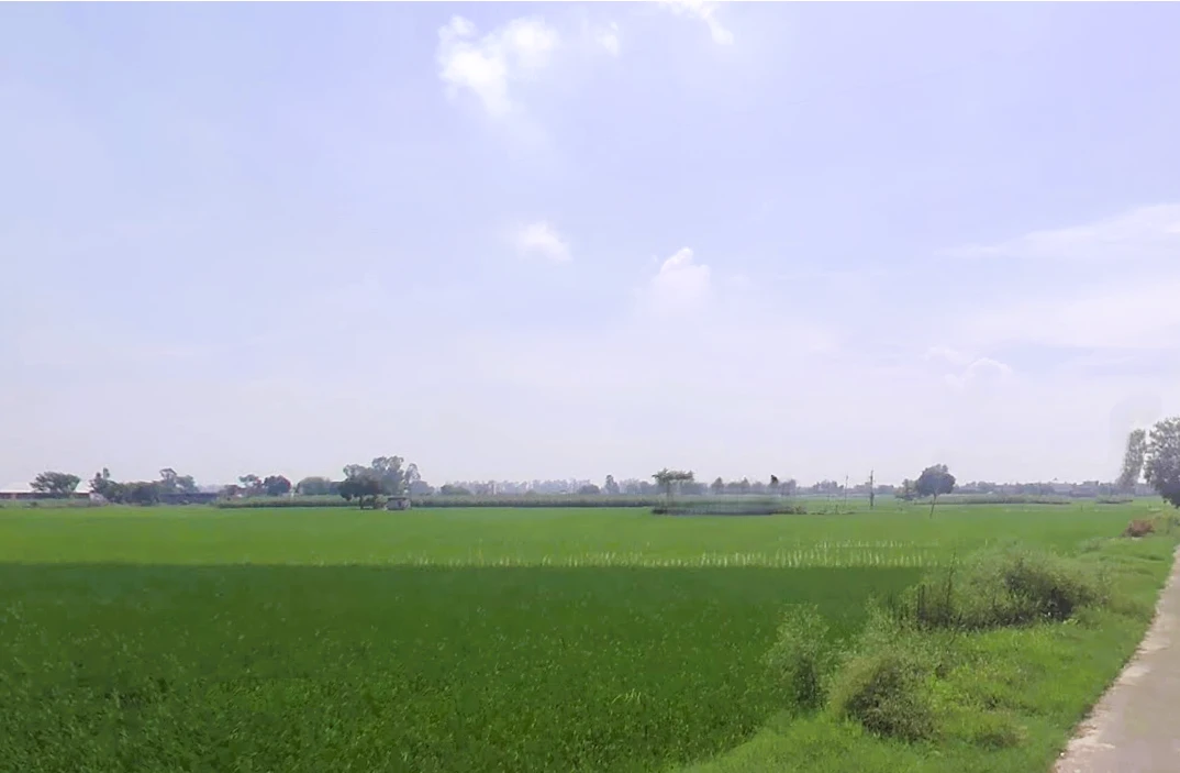 Pai, Haryana 136043, India