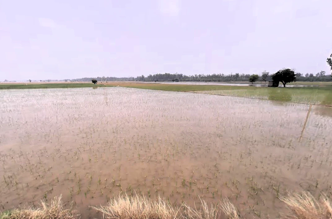 Cheeka, Haryana, India