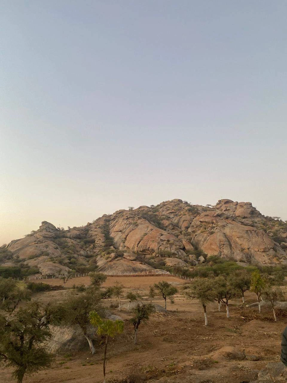 Jawai Bandh, Rajasthan 306126, India