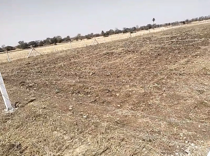 8WPF+MG Chonsala, Madhya Pradesh, India