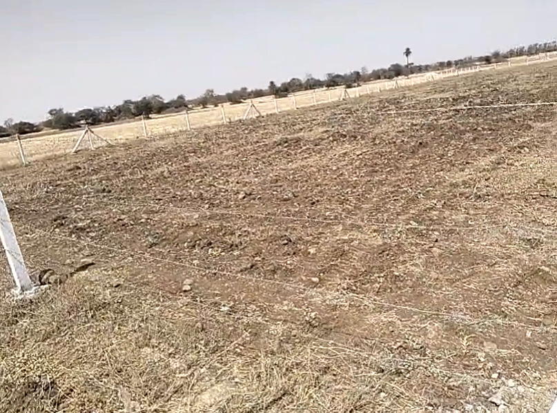 8WPF+MG Chonsala, Madhya Pradesh, India