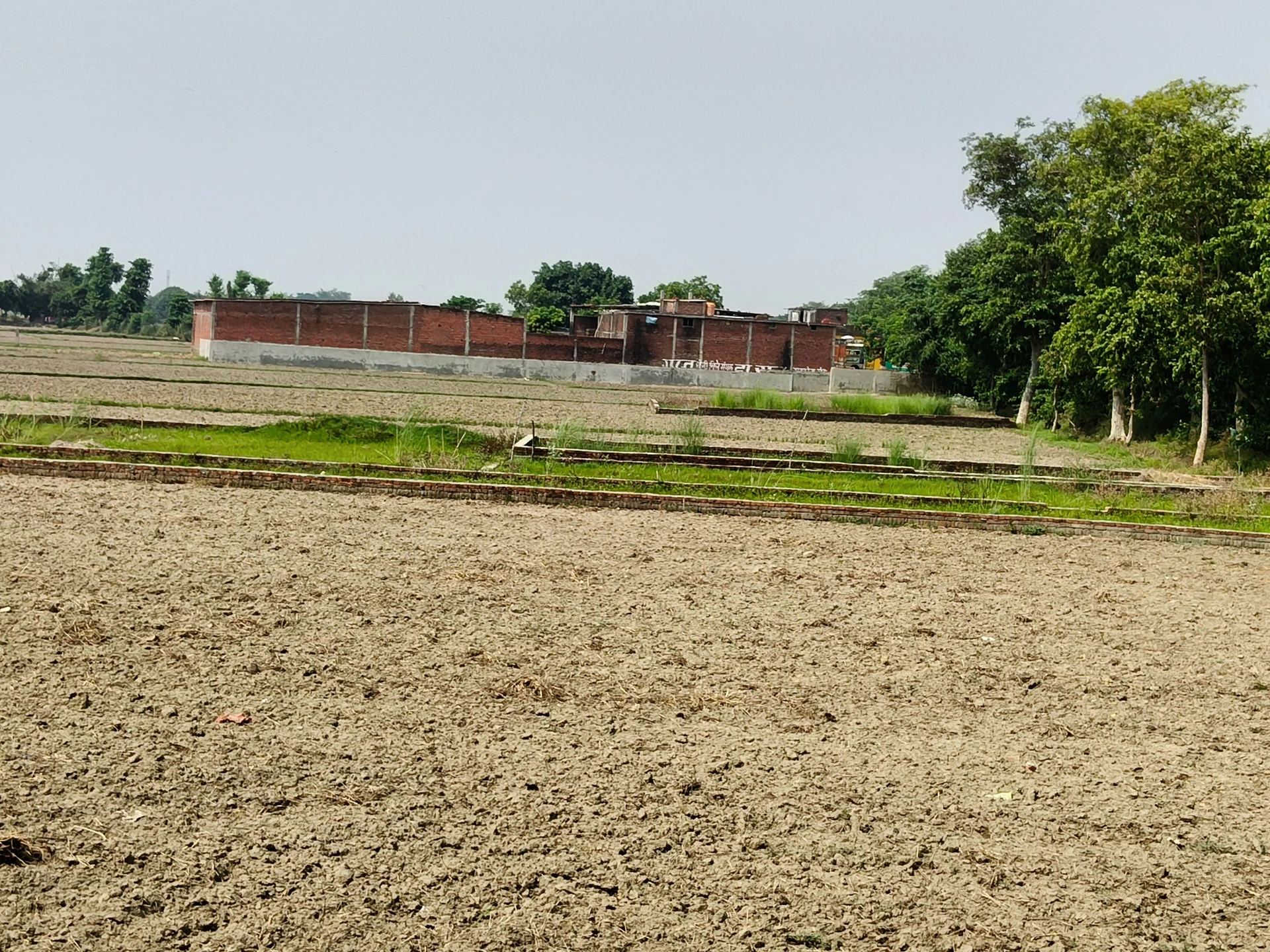 Harpur Machhagar, Uttar Pradesh 274149, India