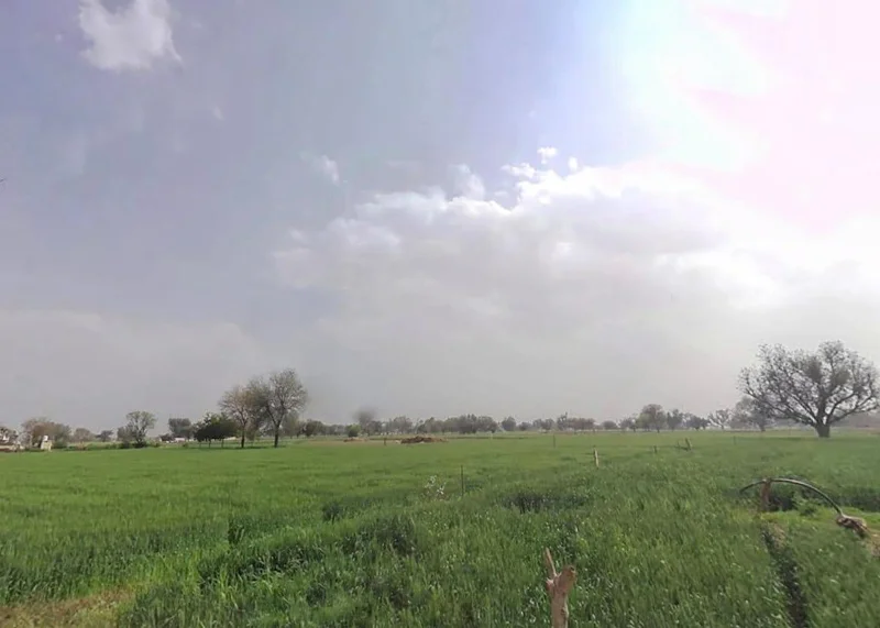 CJCF+2VX, Main Rd, Kalsara, Rajasthan 301406, India preview 2