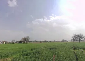 CJCF+2VX, Main Rd, Kalsara, Rajasthan 301406, India preview 2