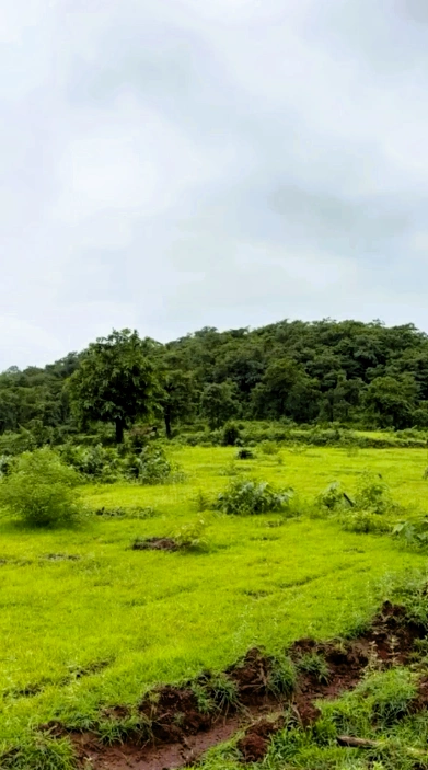 Vaibhavwadi, Sindhudurg, Maharashtra 416810, India