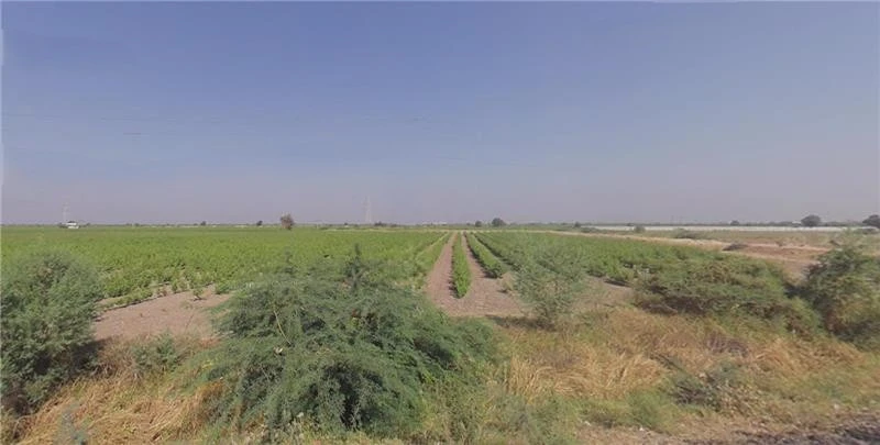32VP+JW Viramgam Rural, Gujarat, India