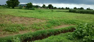 Ronpur, Rajasthan, India preview 3