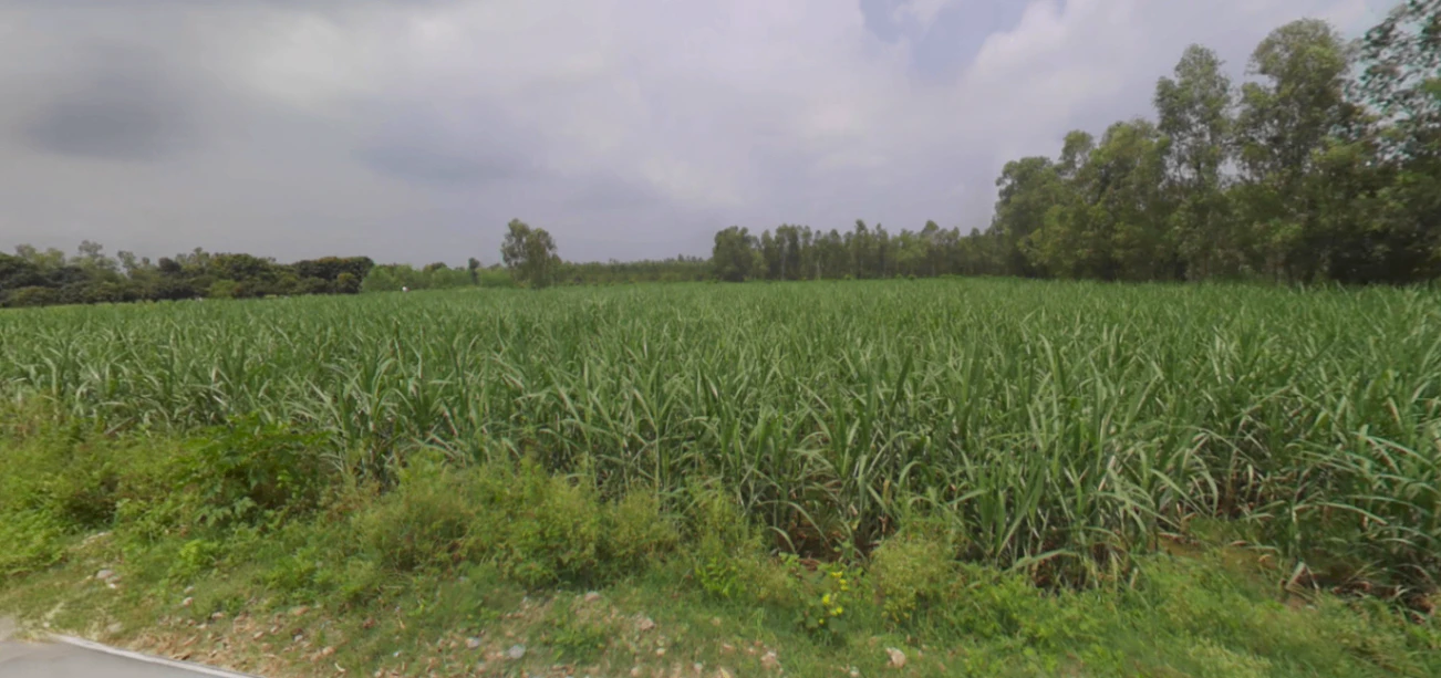 Saidpur, Uttarakhand 247661, India