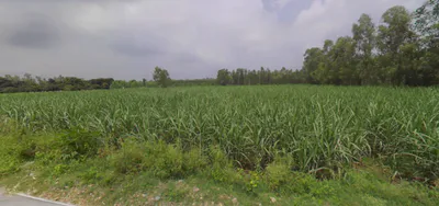 Saidpur, Uttarakhand 247661, India preview 3