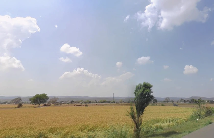 Nangli Mubarikpur, Rajasthan 301025, India