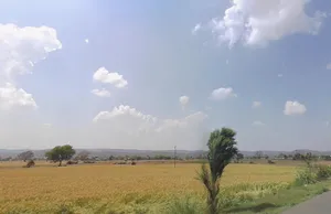 Nangli Mubarikpur, Rajasthan 301025, India preview 3