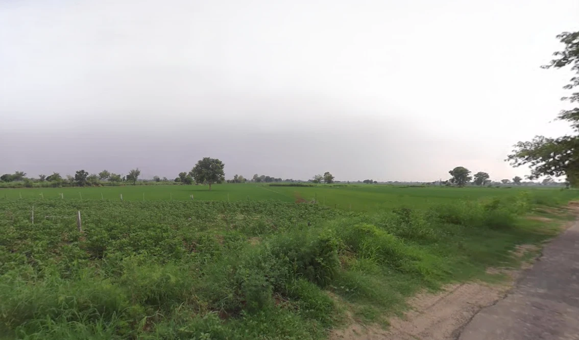 Dabwali, Haryana 125104, India