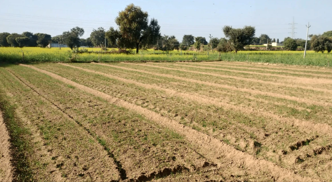 Chandigarh, India