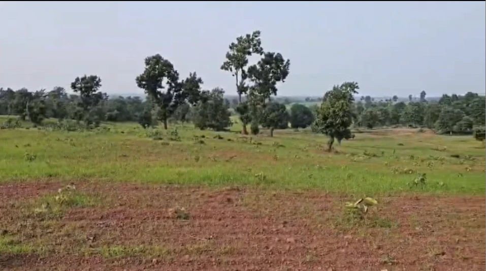 Bendi, Anuppur, Madhya Pradesh 484881, India