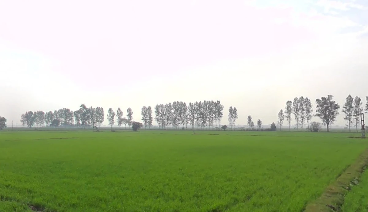 Gadhota, Madhya Pradesh 475220, India