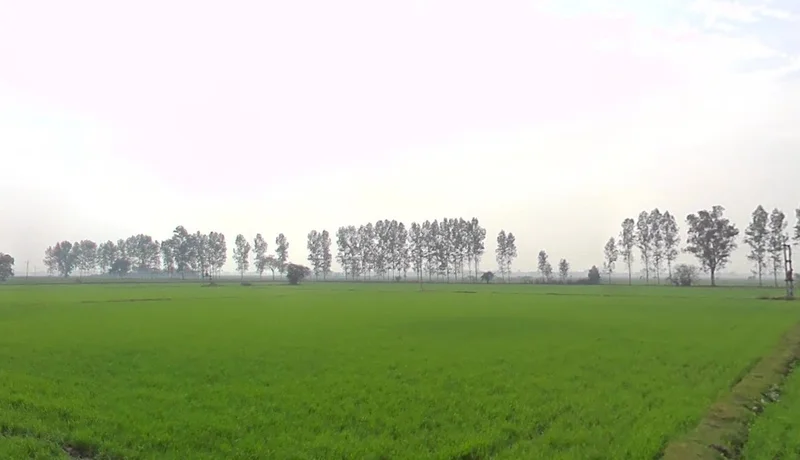 Gadhota, Madhya Pradesh 475220, India preview 3