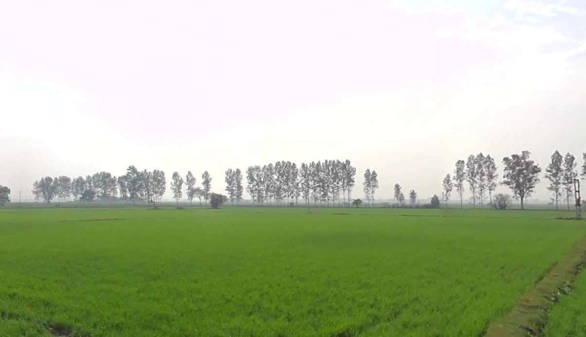 Gadhota, Madhya Pradesh 475220, India