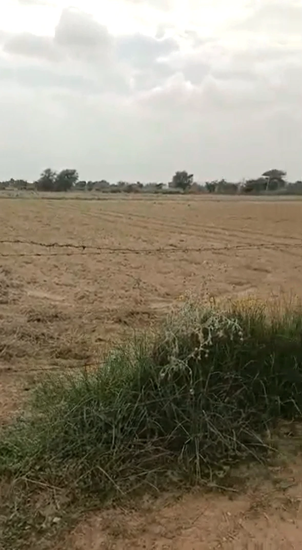 HC4H+CPX, Bhagosa, Uttar Pradesh 281502, India