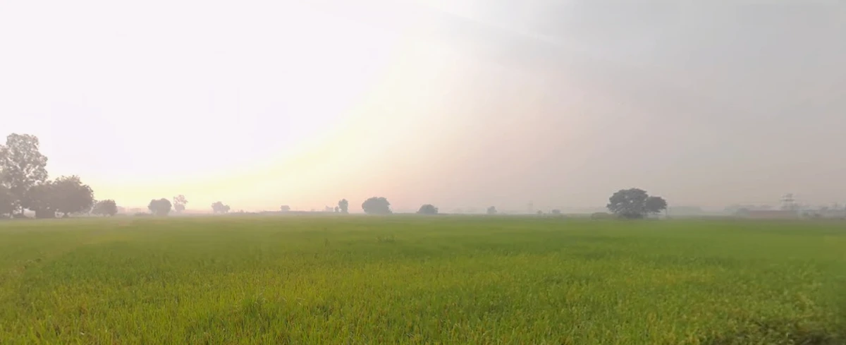 Mangli (Uchi), Ludhiana, Punjab, India