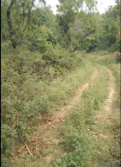 Dhari, Nainital, Uttarakhand 262580, India