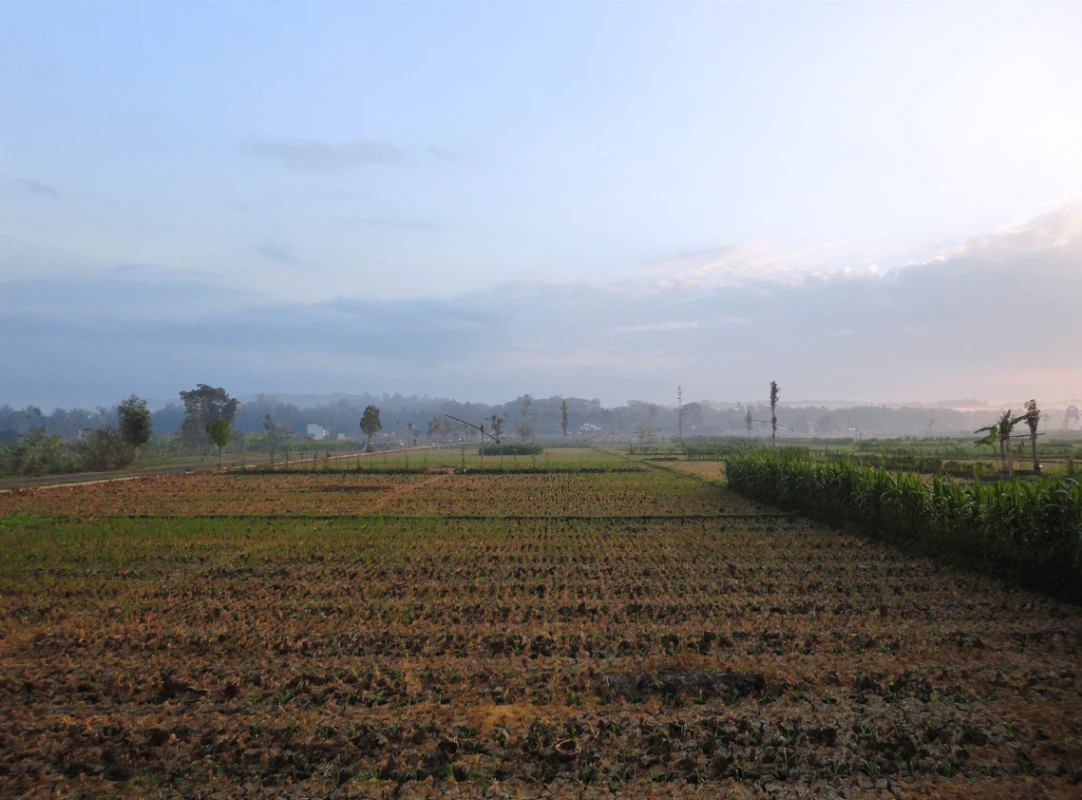 Dhangar, Haryana 125048, India