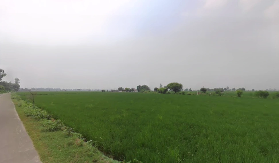 Kurar, Haryana 132104, India