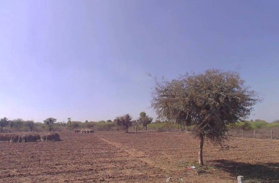 Chawandiya, Rajasthan 341519, India