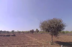 Chawandiya, Rajasthan 341519, India preview 2