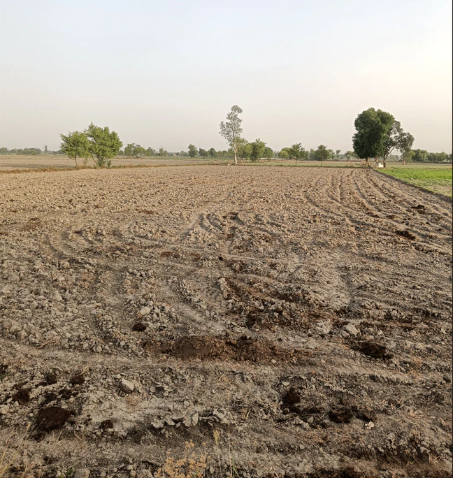 Beas, Punjab 143201, India