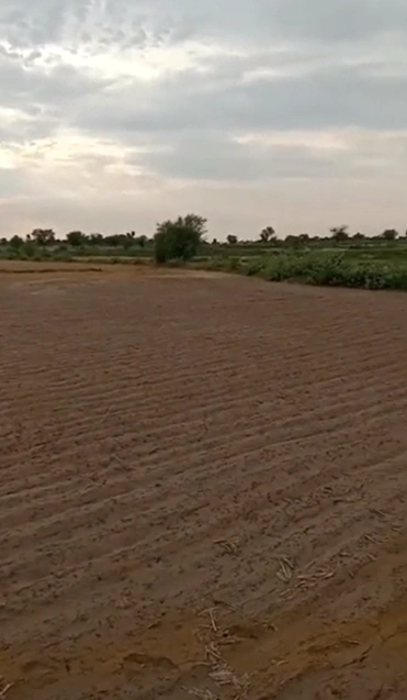 R3MM+64 Singla, Jaipur, Rajasthan, India