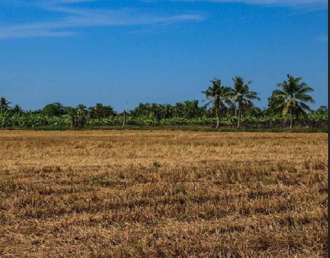 Sagwali, Madhya Pradesh 456440, India preview 3