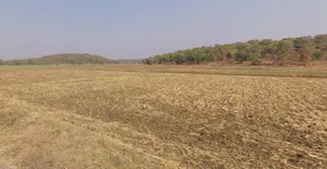 Junwani Kalan, Chhattisgarh 493449, India preview 2