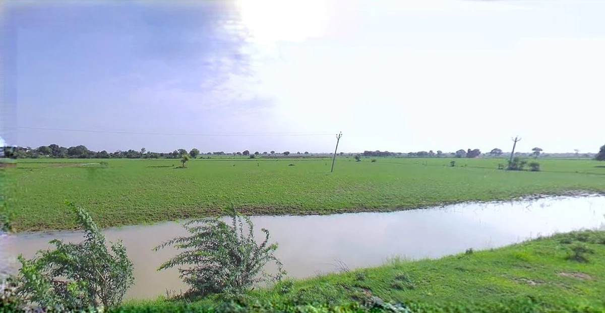 Rohtak, Haryana, India