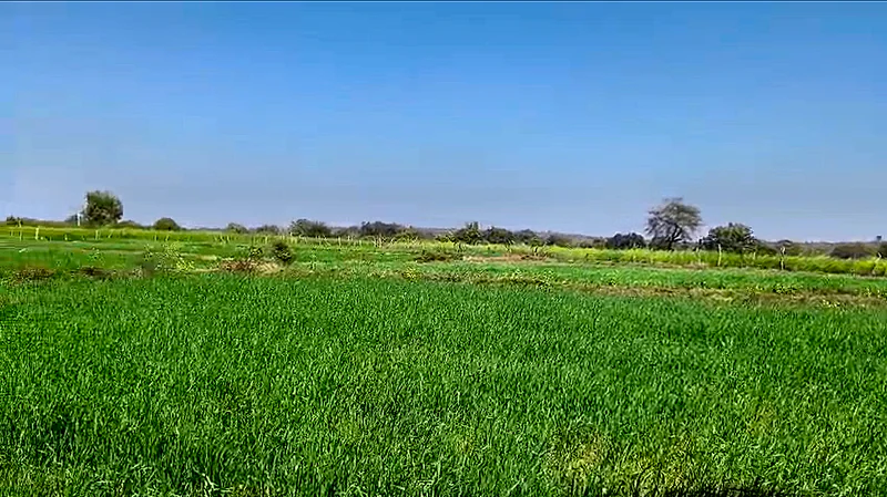 4883+V6R, Dabhaura, Madhya Pradesh 486556, India preview 2