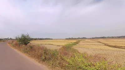 Saguna, West Bengal, India preview 2