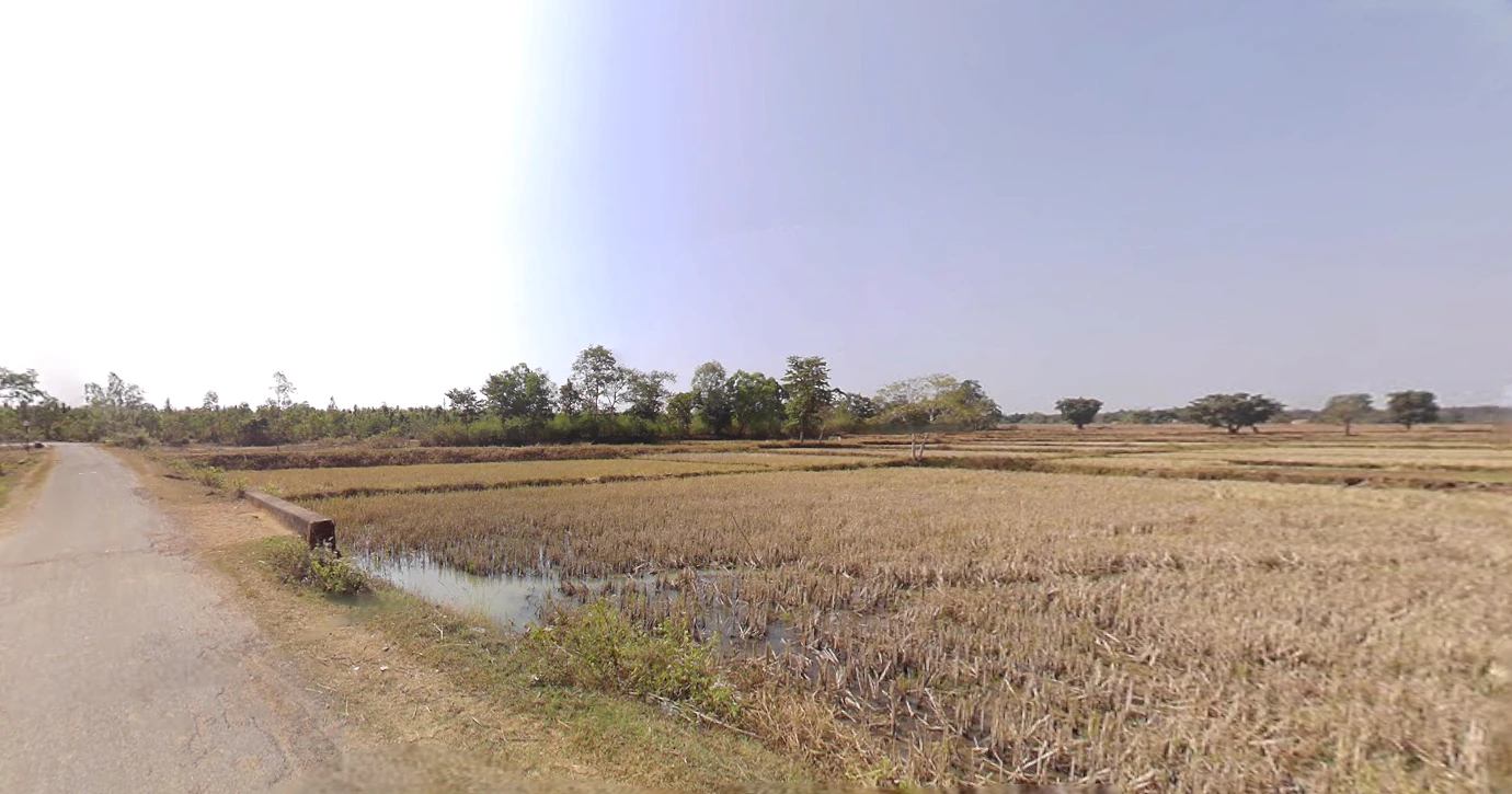 Thekkil, Kerala, India