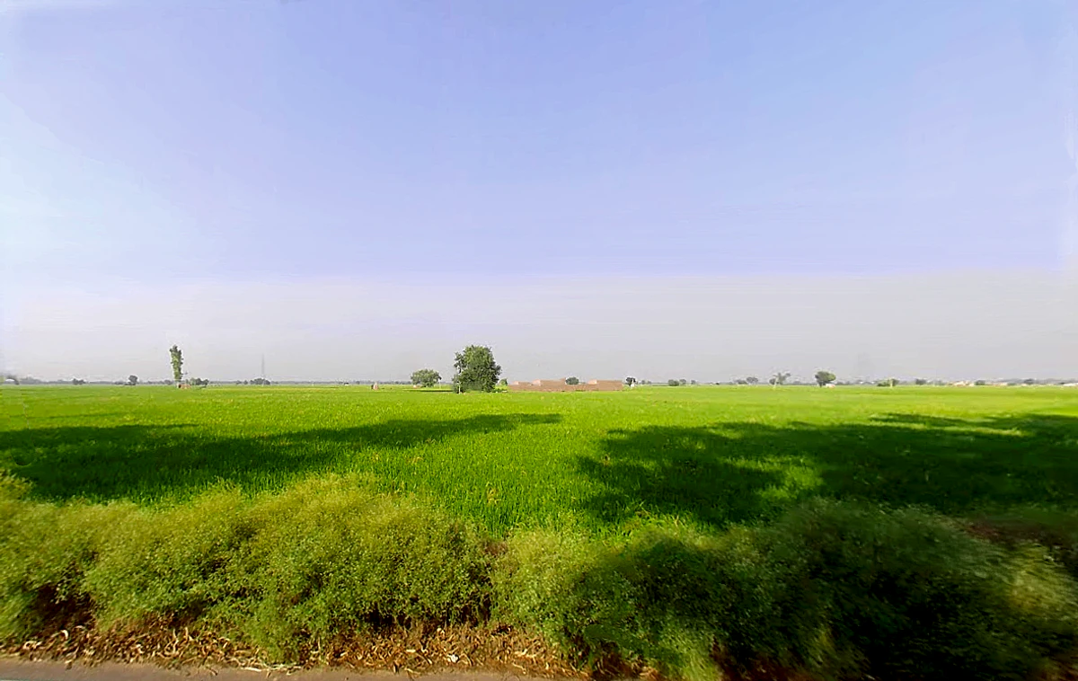 Sirsa - Ellenabad Rd, Mallekan, Haryana 125055, India