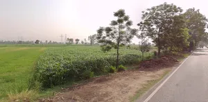 Kila Rd, Prabhat Nagar, Meerut, Uttar Pradesh 250001, India preview 2