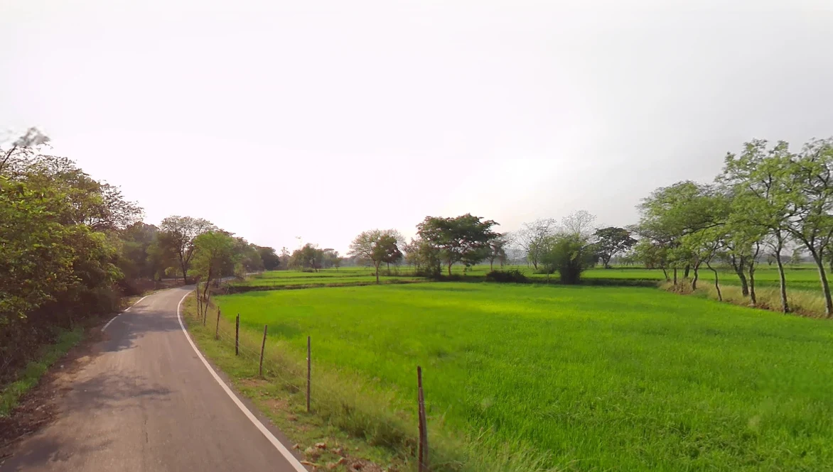 Thelkadih, Chhattisgarh 491444, India