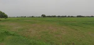 Lucknow, Uttar Pradesh, India preview 2