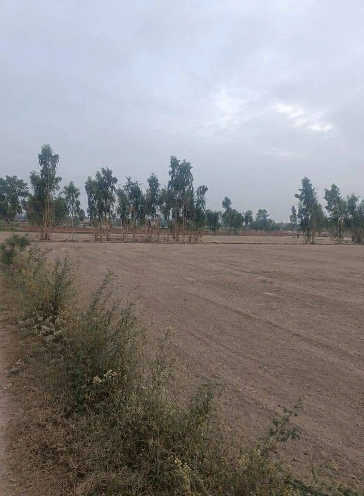 Barhana, Uttar Pradesh, India preview 2