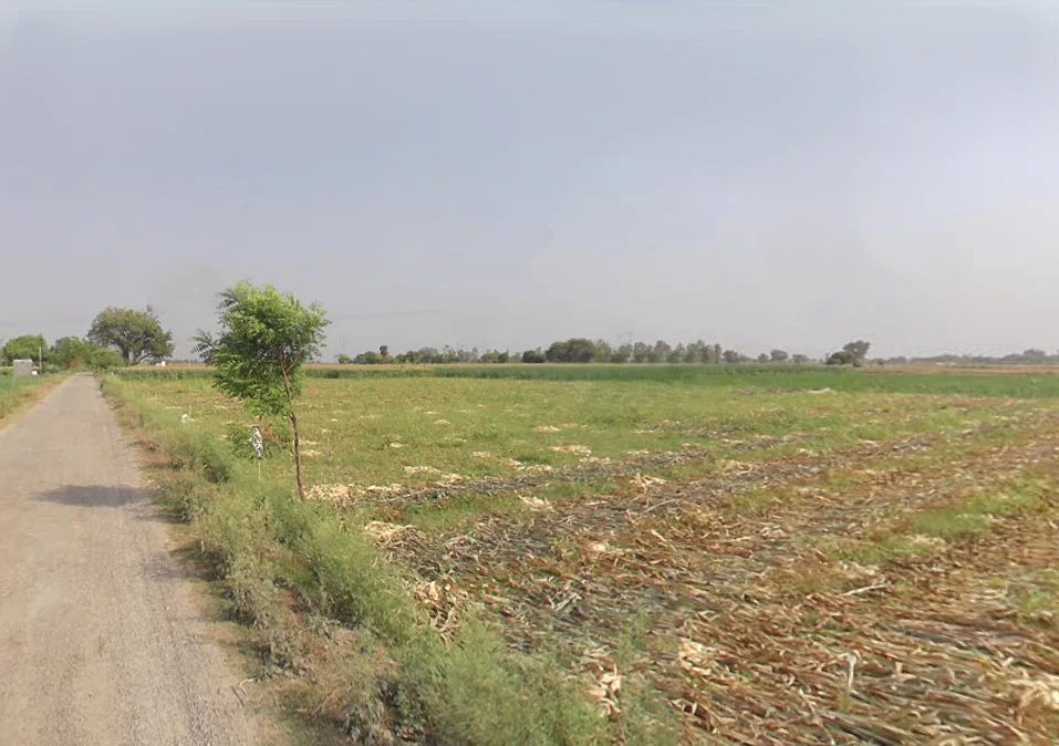 7P7M+96V, Pardalpur, Garhikhanpur, Uttar Pradesh 243723, India preview 3