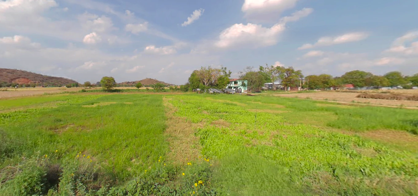 Pinan, Rajasthan, India