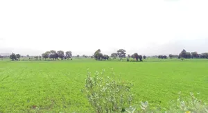 Sohawal, Madhya Pradesh, India preview 2