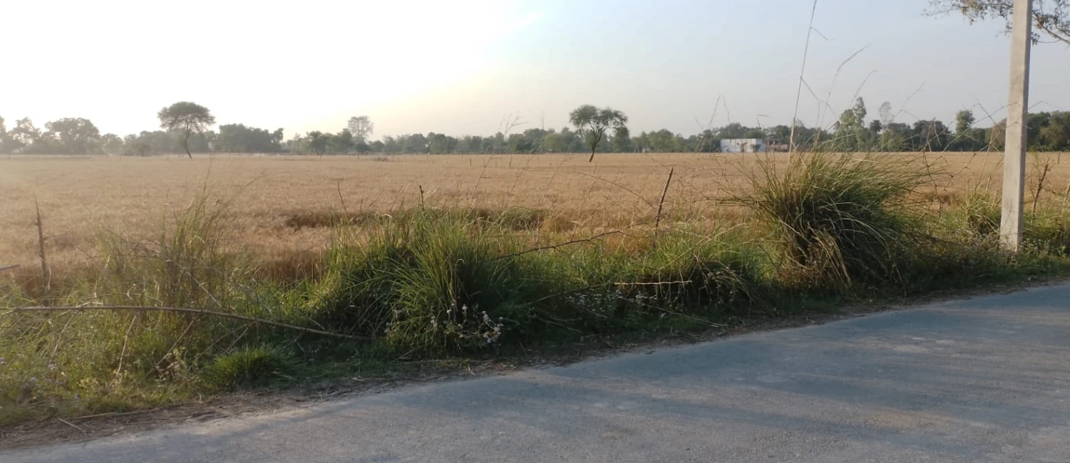 Mehna, Punjab 142011, India