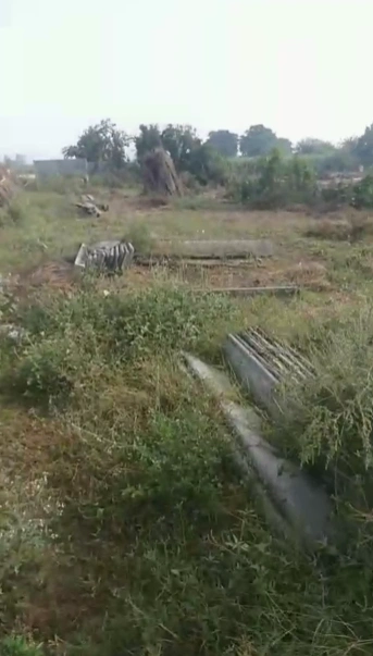 2JHC+CQR, Aligarh - Palwal Rd, Kurana, Uttar Pradesh 202137, India