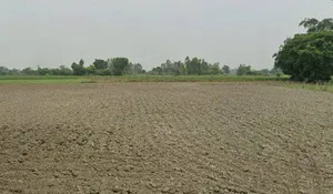 Karadiya, Madhya Pradesh 453001, India preview 3