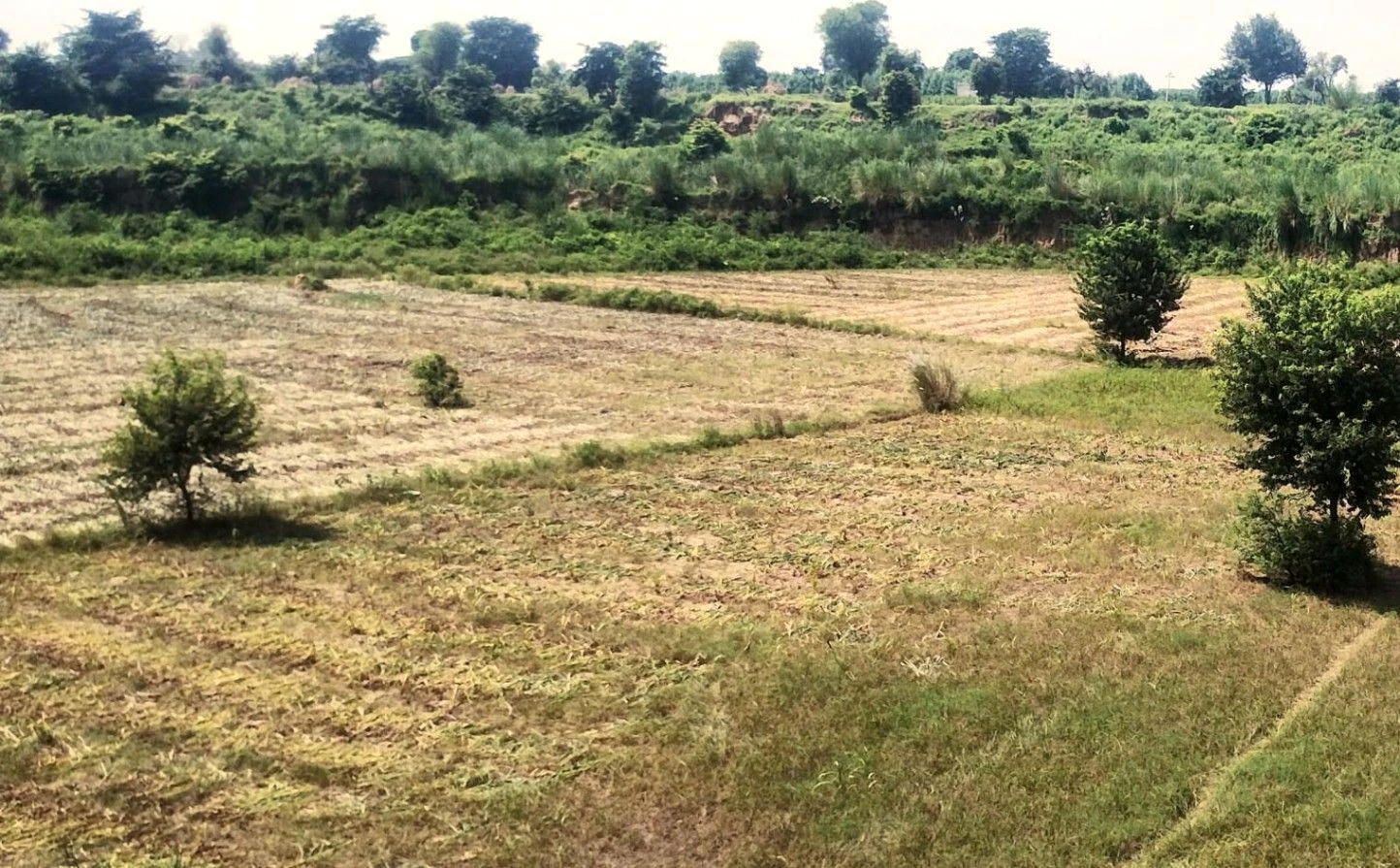 Peepal Khera, Rajasthan 321606, India