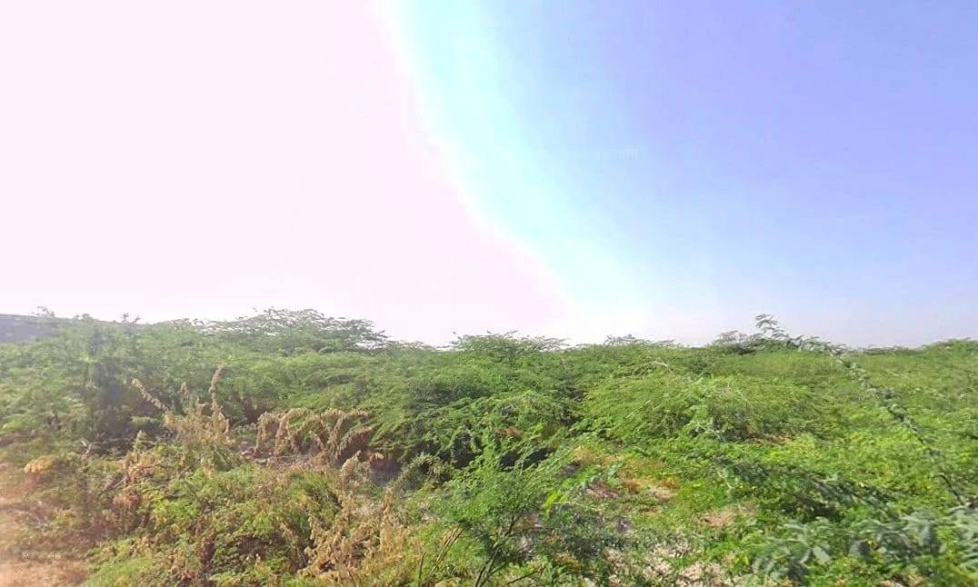 Dhabar, Rajasthan, India