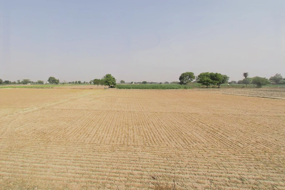 Sikandrabad, Uttar Pradesh 203205, India